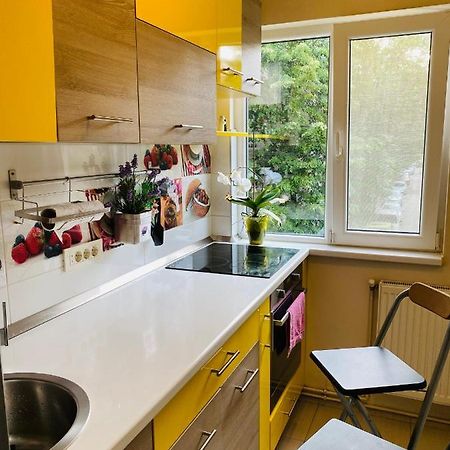 City Center Apartment Тимишоара Екстериор снимка