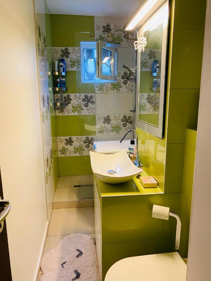 City Center Apartment Тимишоара Екстериор снимка