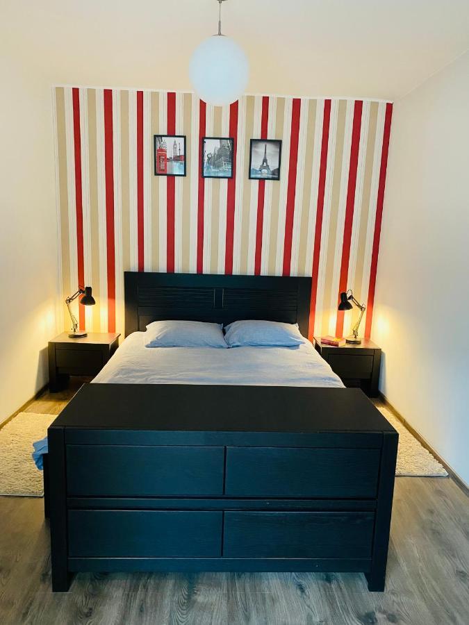 City Center Apartment Тимишоара Екстериор снимка