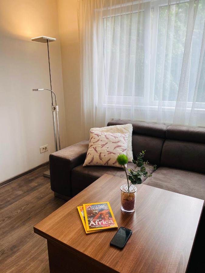 City Center Apartment Тимишоара Екстериор снимка